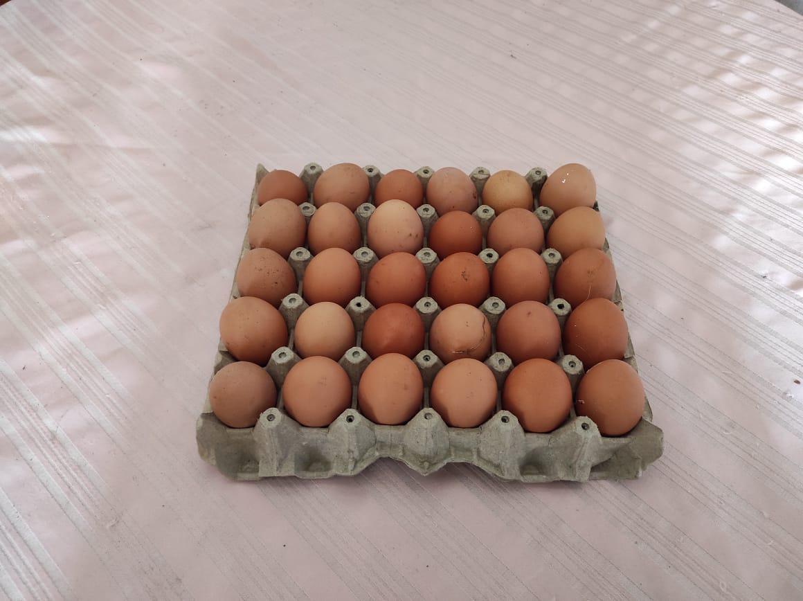 Huevos De Gallinas