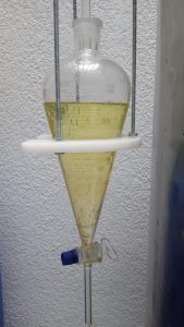 Aceite Esencial De Eucalipto Eucalyptus Globulus