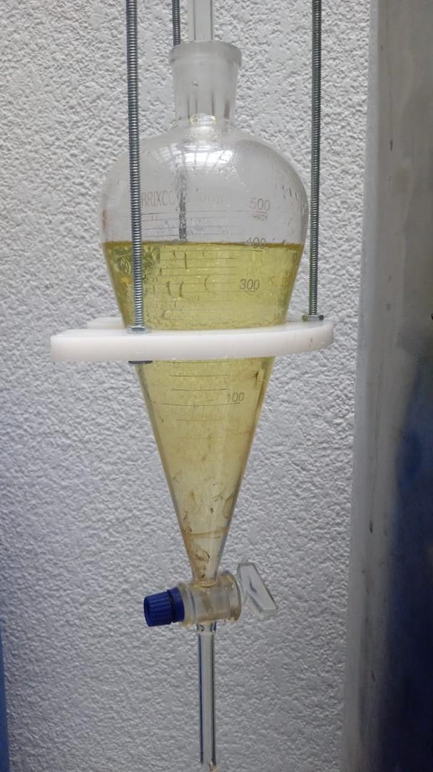 Aceite Esencial De Eucalipto Eucalyptus Globulus