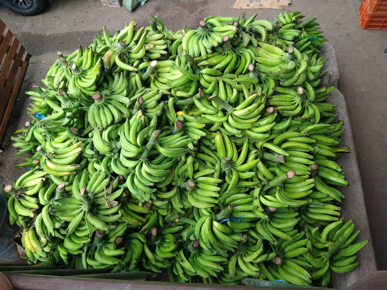 Platano Dominico