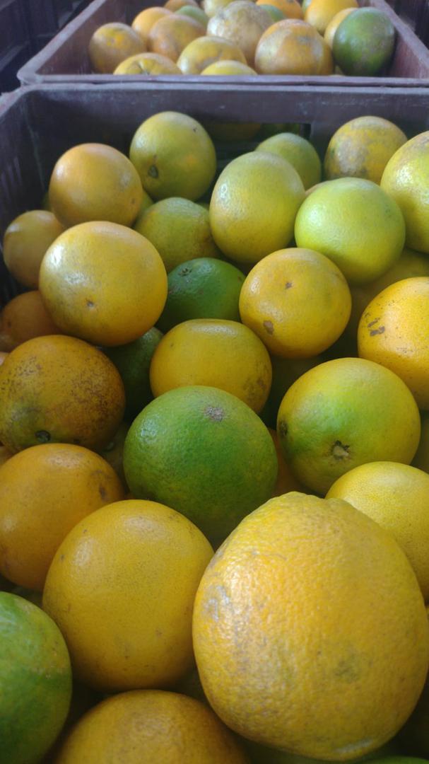 Naranja Tangelo Y Valencia