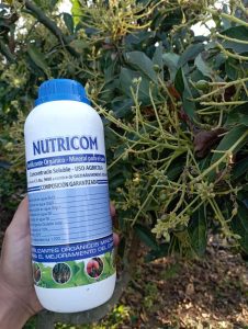 Nutricom
