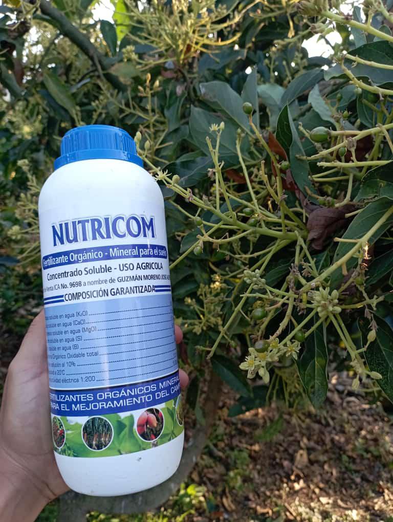 Nutricom
