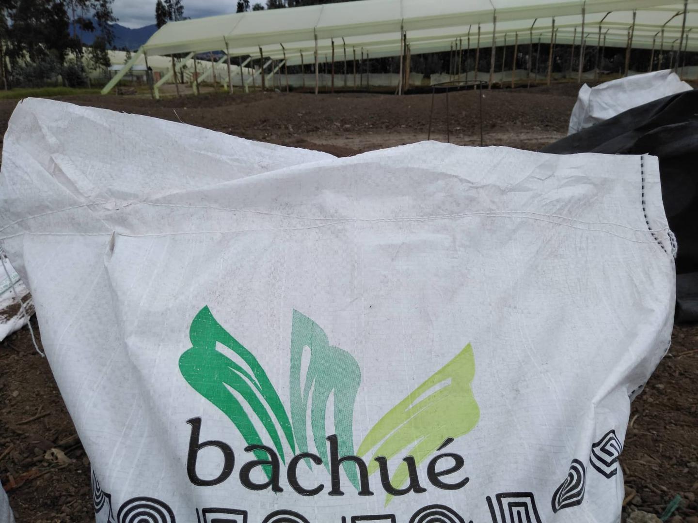 Abono Organico Bachue