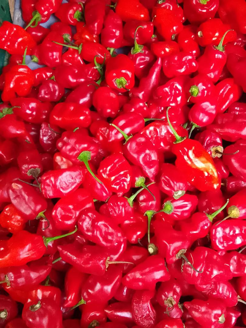 Aji Dulce