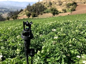 Abono Bio Organico Y Sistemas De Riego