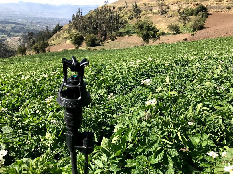 Abono Bio Organico Y Sistemas De Riego