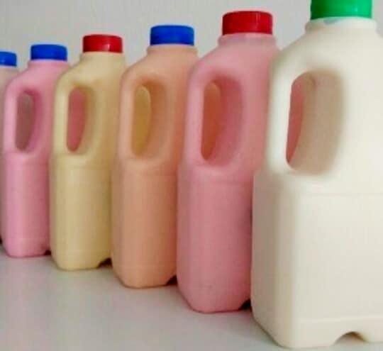 Yogurt Natural Con Frutas