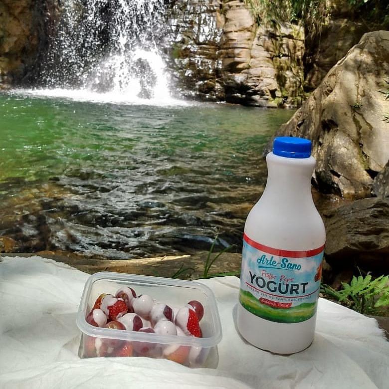 Presentacion 1 Litro Artesano Frutos Rojos Frutos Amarillos Y Sin Frutos