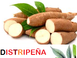 Yuca Por Carga