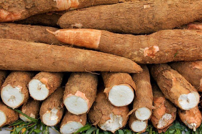 Yuca Industrial