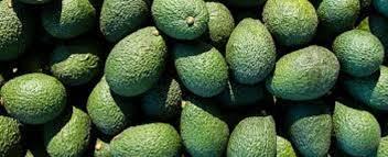 Aguacate