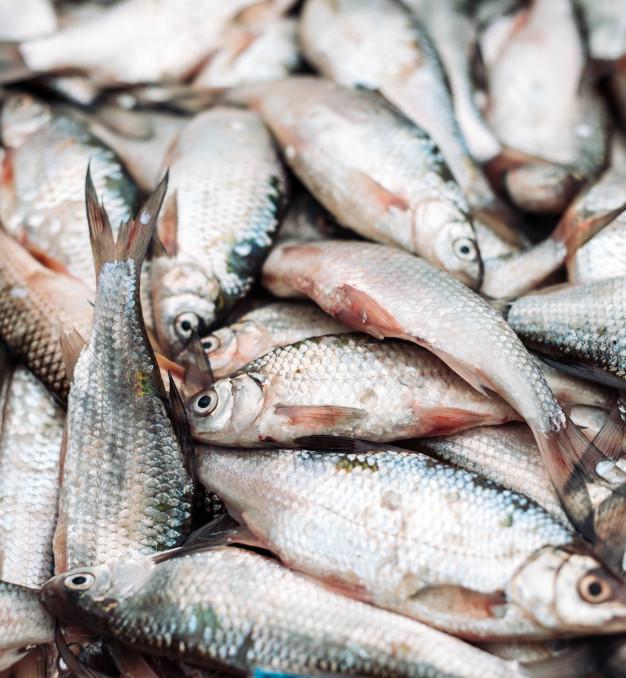 Pescado Pelada