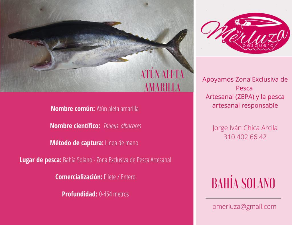 Pescado De Mar