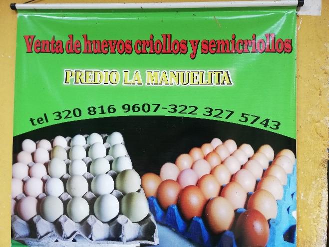 Huevos Semi Criollos
