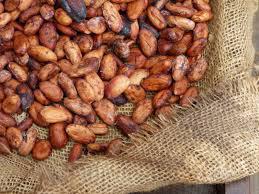 Cacao