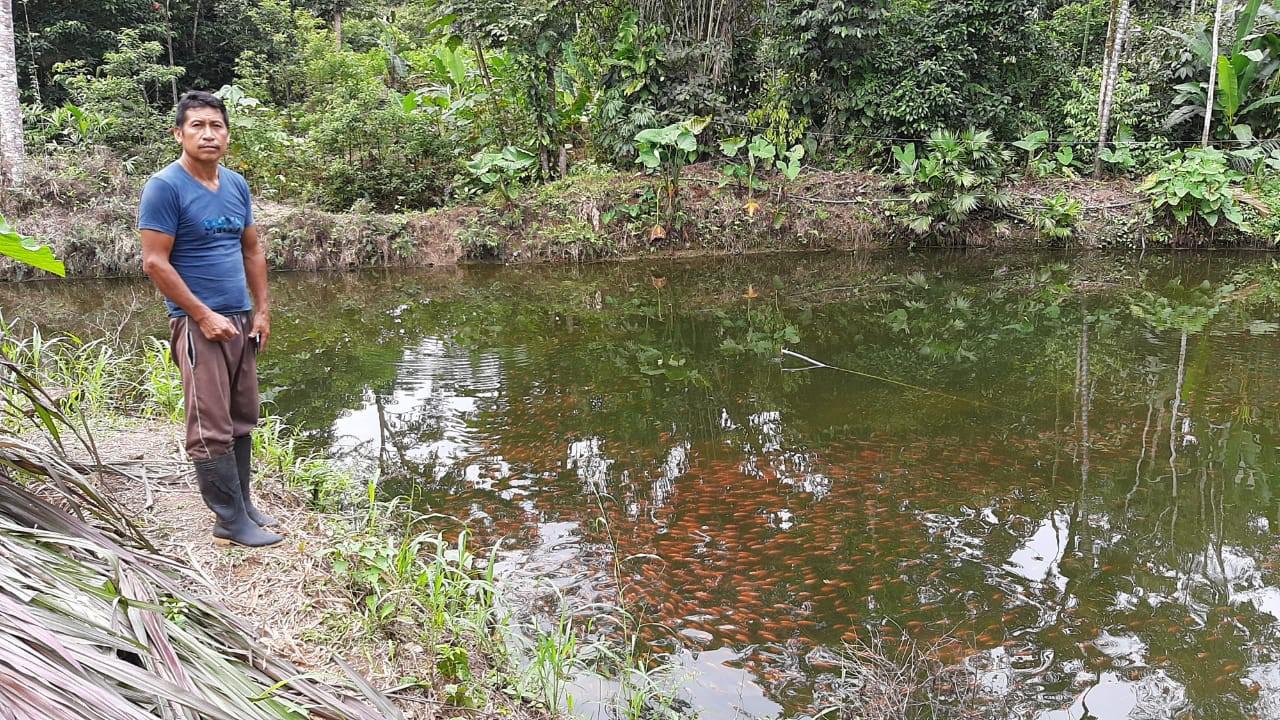 Mojarra Roja