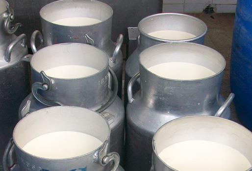 Leche De Vaca En Cantina De 40 Ltrs