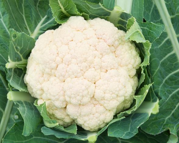 Coliflor