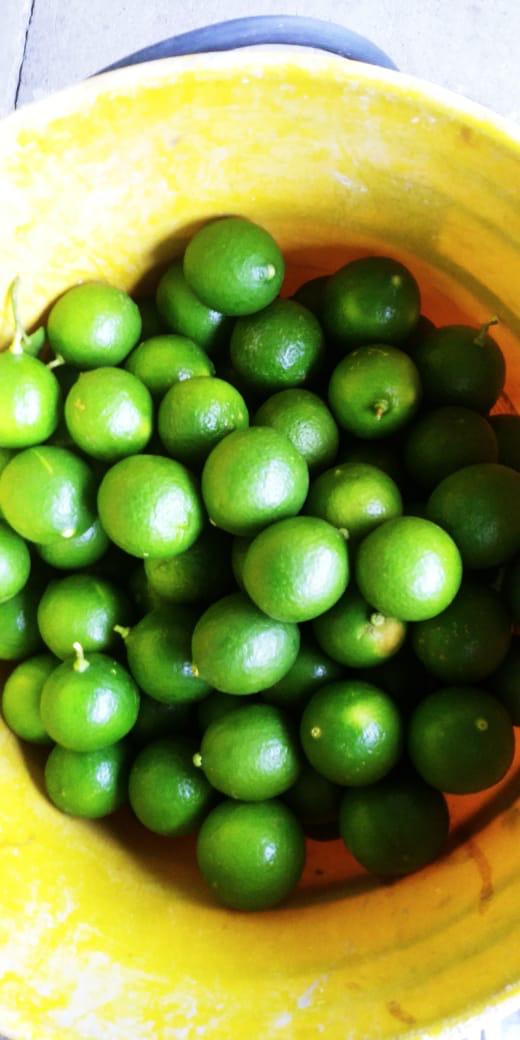 Limon Pajarito Comun