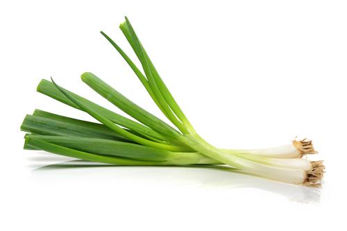 Semillas De Cebolla Rama