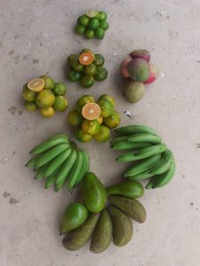Mango De Calidad Por Canastilla De 20 Kilogramos