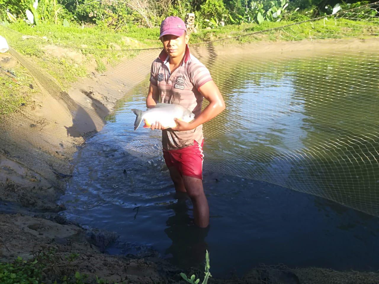 Cachama