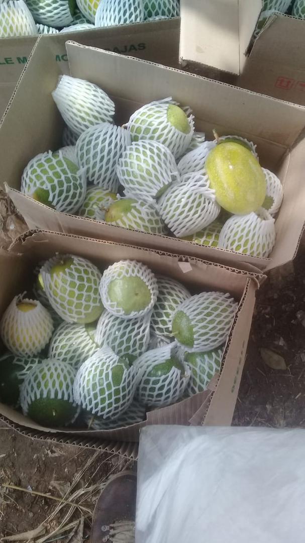 Maracuya Fruta Fresca