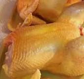 Pollo Semiciollo