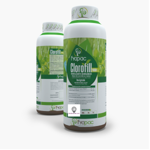 Clorofill X 1 L