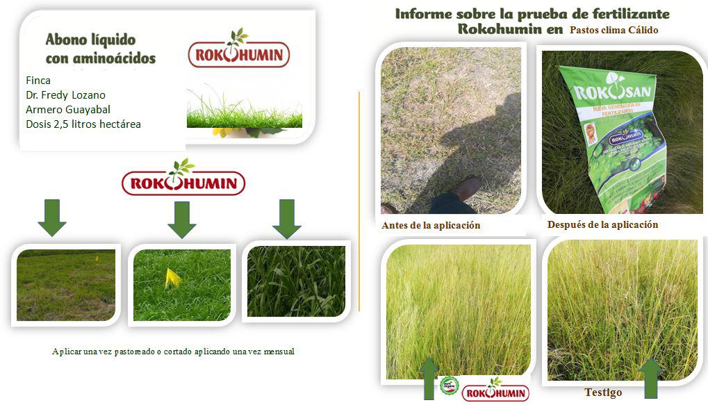 Fertilizante Organicomineral