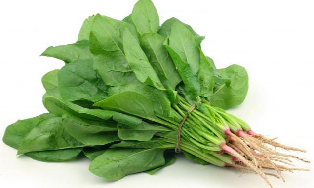 Espinaca