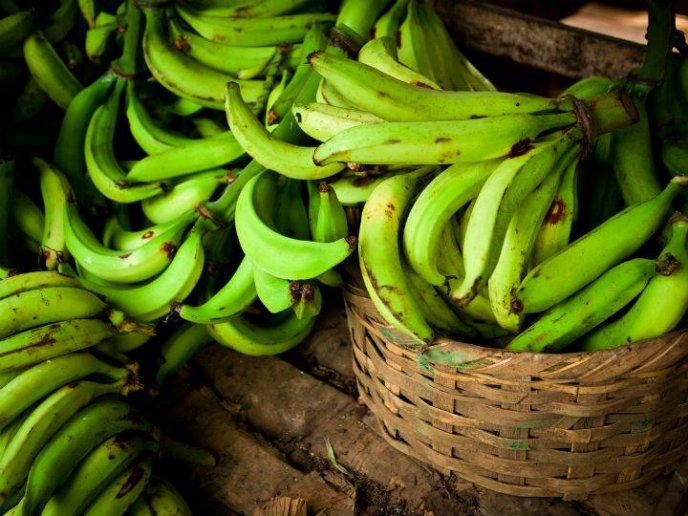 Platano Verde