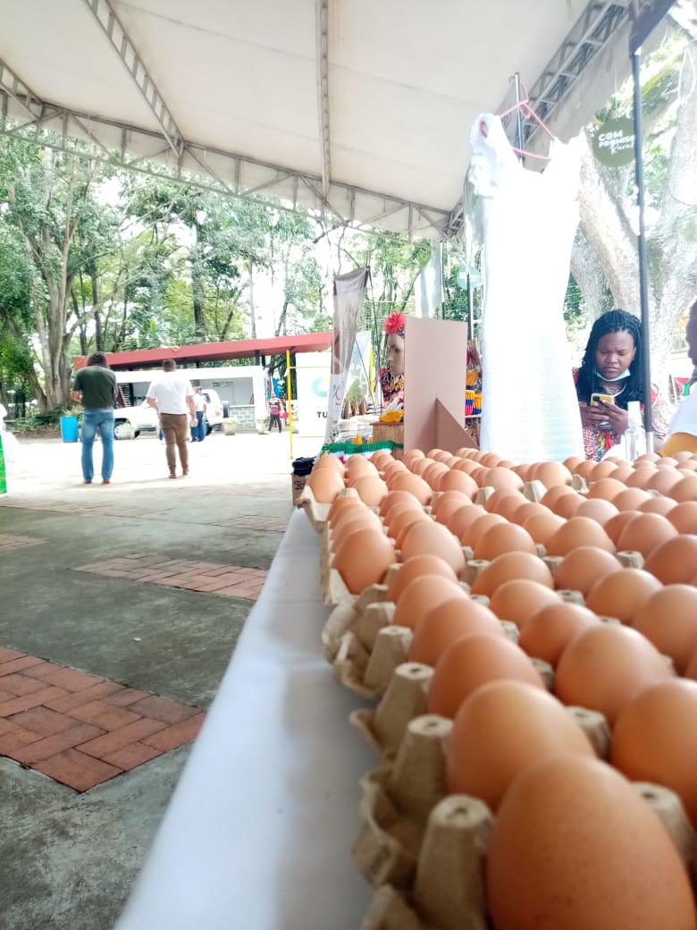 Huevos De Gallina Feliz