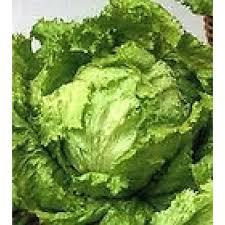 Lechuga