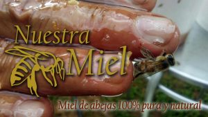 Miel De Abejas Nuestra Miel