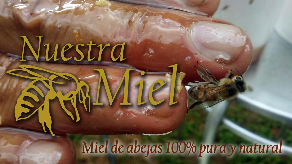 Miel De Abejas Nuestra Miel