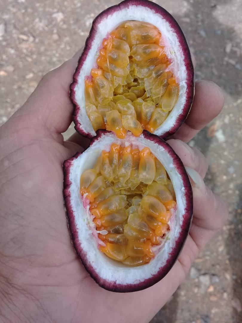 Gulupa