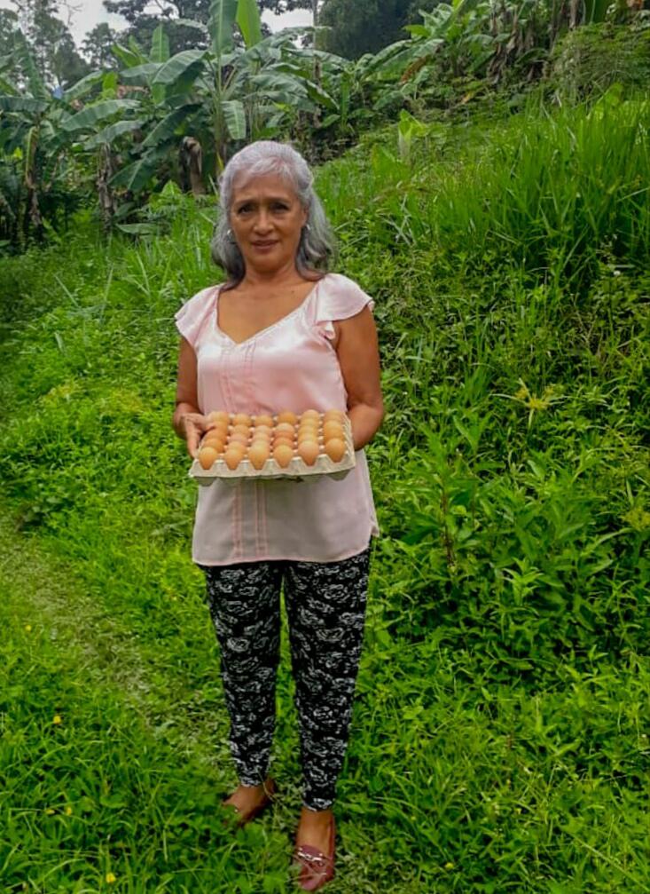 Huevo Semi Criollo