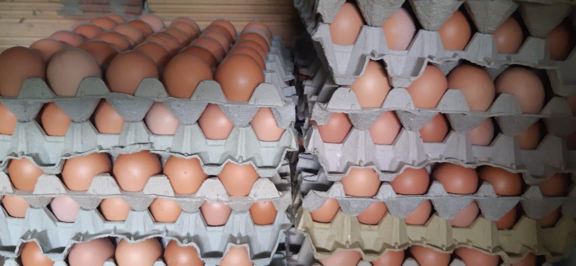 Huevo De Gallina Cubeta