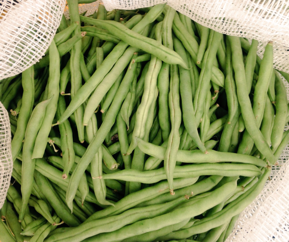Habichuela