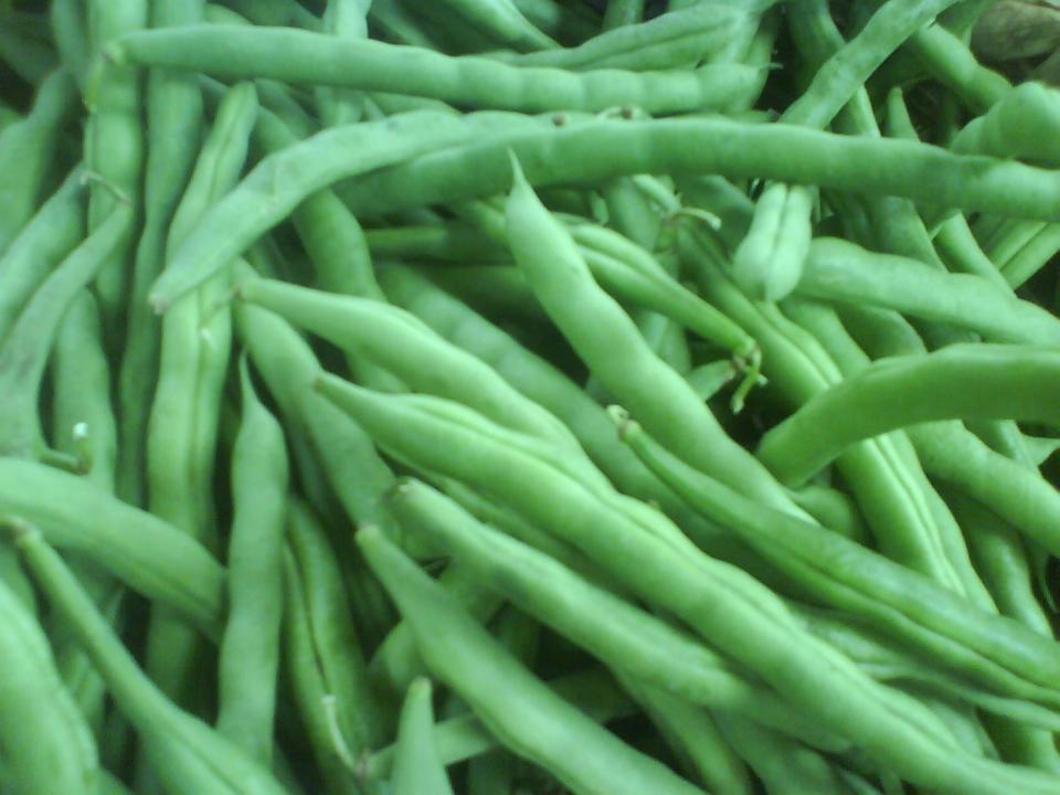 Habichuela
