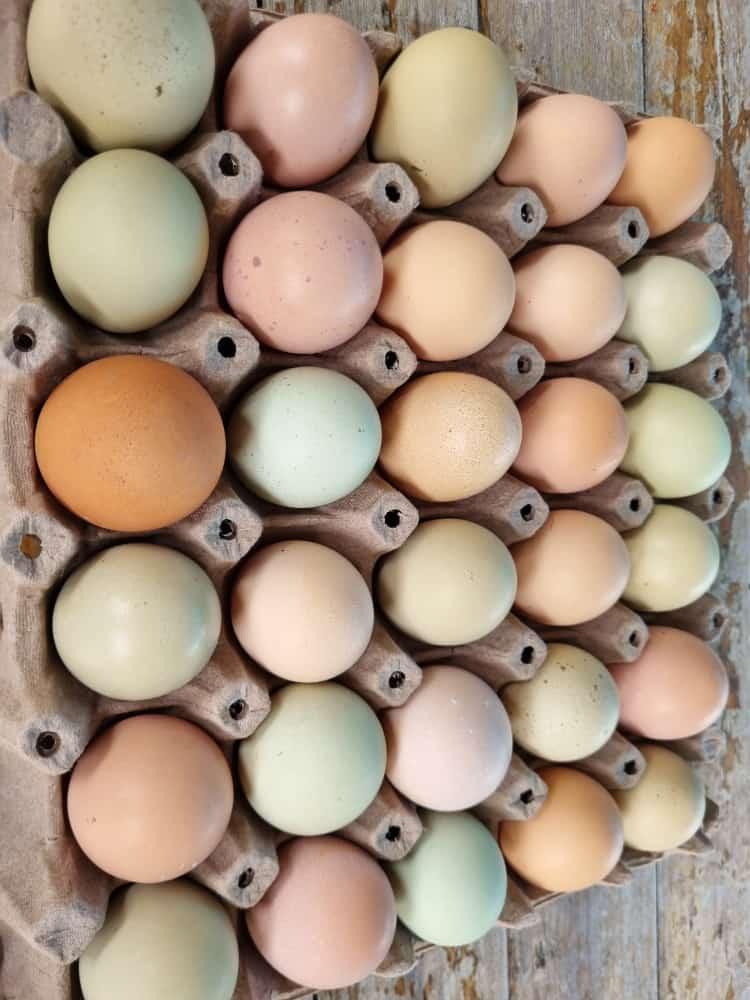 Huevos Campesinos