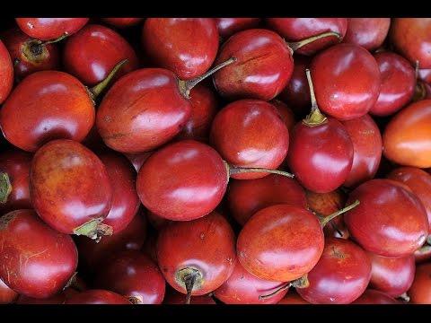Tomate De Arbol