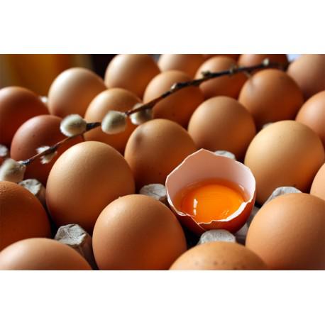Huevos Organicos El Atardecer