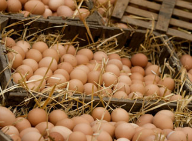 Huevos