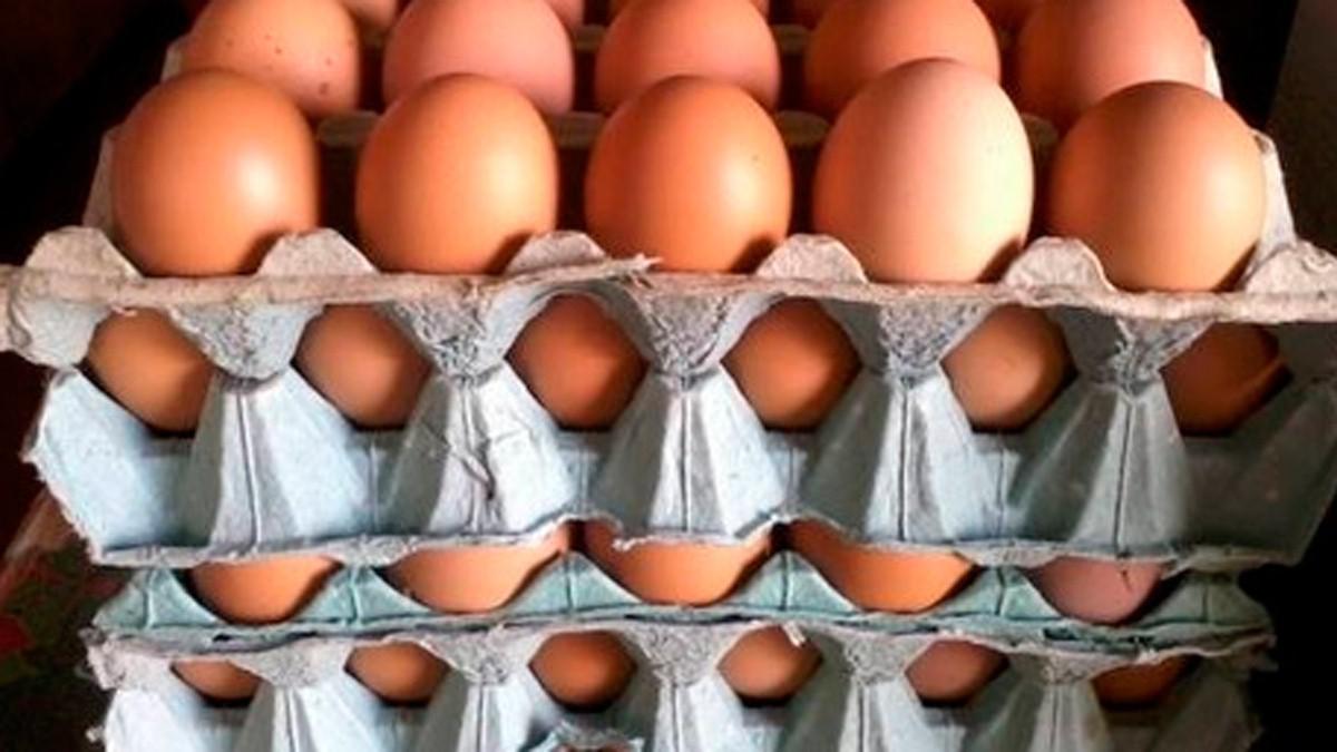 Huevos Semicriollos
