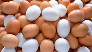 Huevos Tipo Revuelto