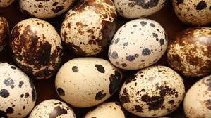 Huevos De Codorniz