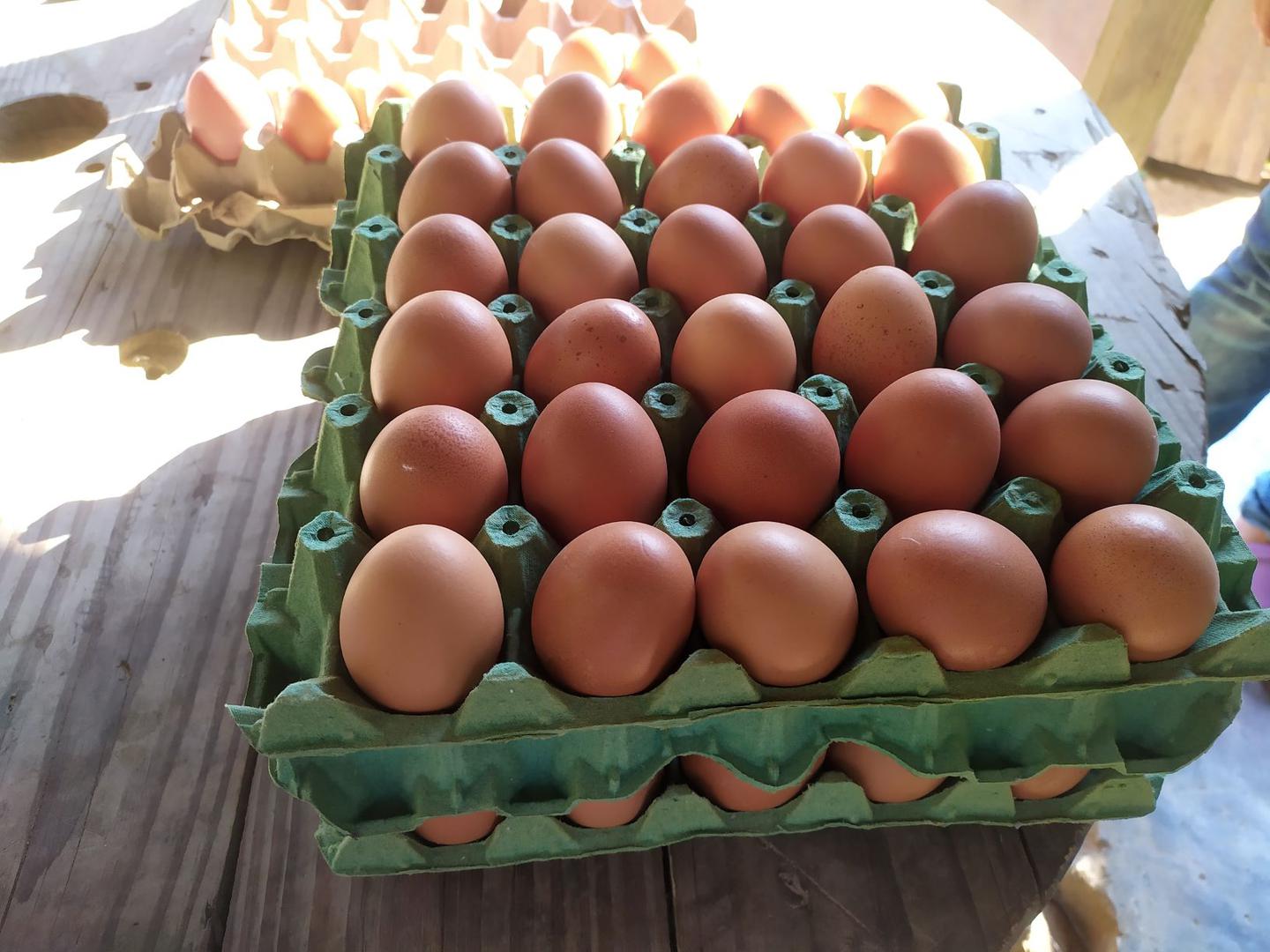 Canasta De Huevos De Gallina X 30 Un